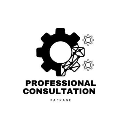 Professional Consultation Package